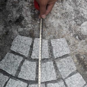 G603 Grey Granite Fan shaped Meshed Cobblestone